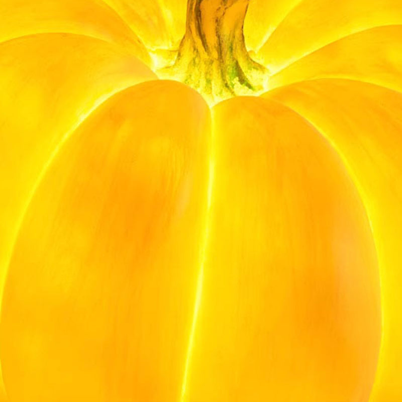 Contemporary Creative Resin Pumpkin-Shaped Round LED Floor Lamp For Outdoor Garden