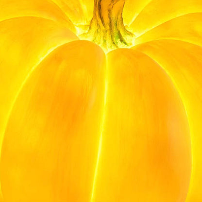 Contemporary Creative Resin Pumpkin-Shaped Round LED Floor Lamp For Outdoor Garden