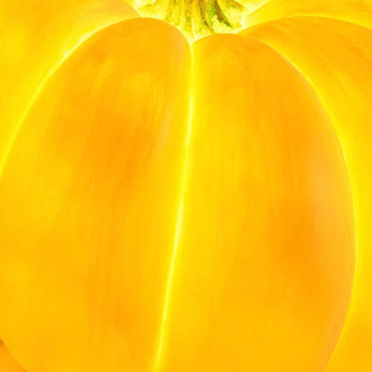 Contemporary Creative Resin Pumpkin-Shaped Round LED Floor Lamp For Outdoor Garden
